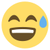 :sweat_smile: :sweat_smile: